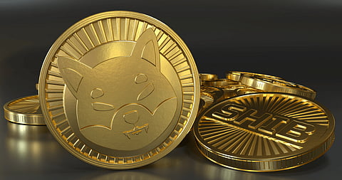 Shiba Inu (SHIB) Surges 5% After Binance Collateral Announcement: Is a Bull Run on the Horizon for InQubeta (QUBE)?
