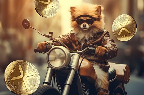 Will the Ripple Community Support XRP During Bear Market? Pomerdoge Next Price Surge Imminent