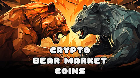 Crypto Bear Market Coins | Analyzing the Best Cryptocurrencies to Buy During the Dip ahead of the Next Crypto Bull Run