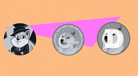 10 Meme Coins that Outperformed Dogecoin in November 2023