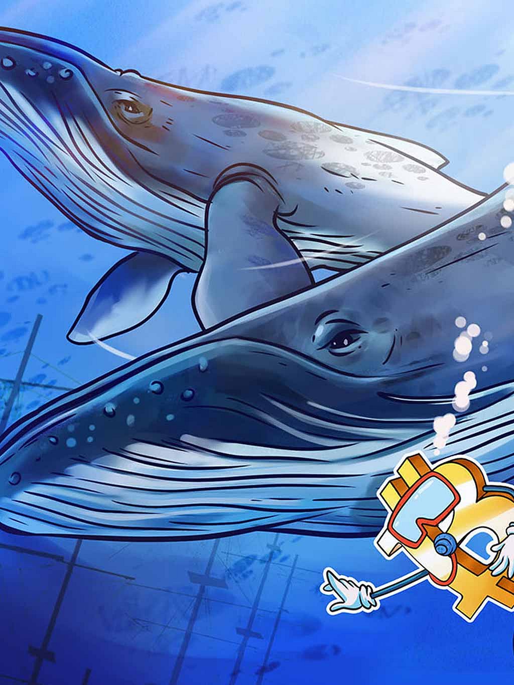 Bitcoin Price Drop Attracts Crypto Whales