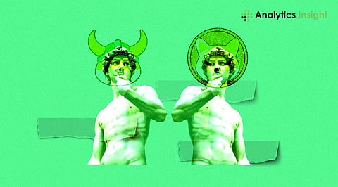 Floki Inu vs Shiba Inu – Differences and Similarities