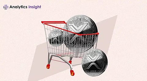 How to Buy XRP: A Step-by-Step Guide for Beginners