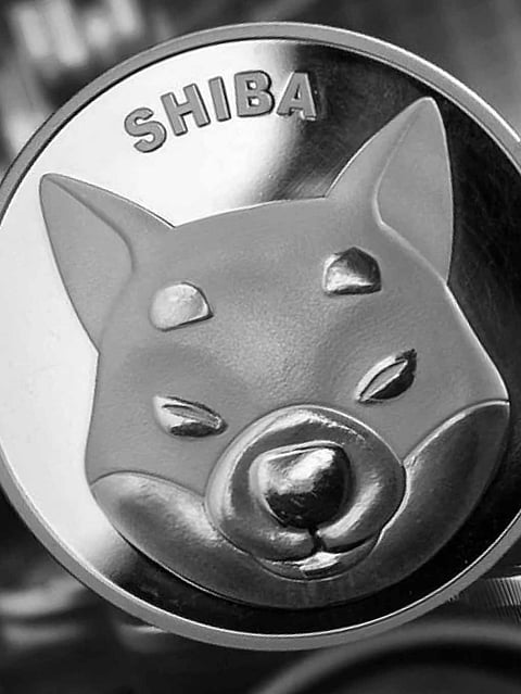 SHIB Price Aims Higher After Enigmatic Transfer