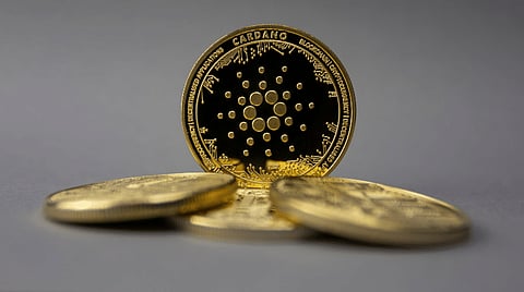 Investor Interest in NuggetRush Skyrockets as It Challenges Dogecoin and Cardano