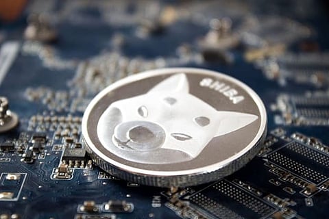 Why Analysts think Kelexo (KLXO) will become the Next Big Crypto as Shiba Inu (SHIB) and Polkadot (DOT) fall