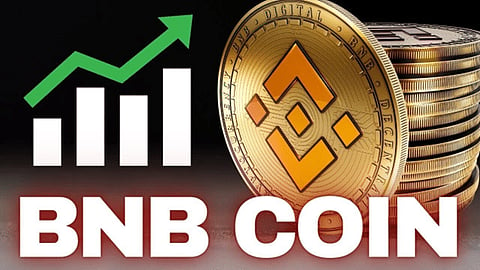 Binance Coin (BNB) Holders Enjoy Solid Gains, while Avalanche (AVAX) Profits Shift into Pushd (PUSHD) Presale