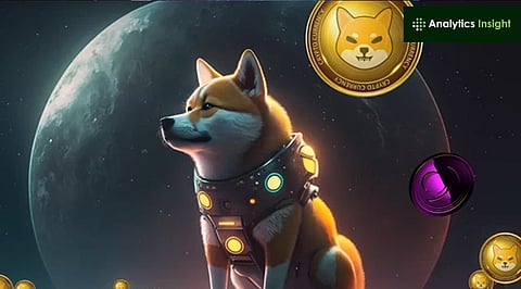 How to Earn Free Shiba Inu in 2024?