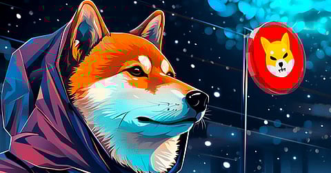 DeeStream (DST) Ignites a 100X Market Blaze: Shiba Inu (SHIB) and Bitcoin Cash (BCH) Holders Dive into the Presale Phenomenon