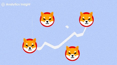 Shiba Inu’s Rise: Popularity & Value Surge