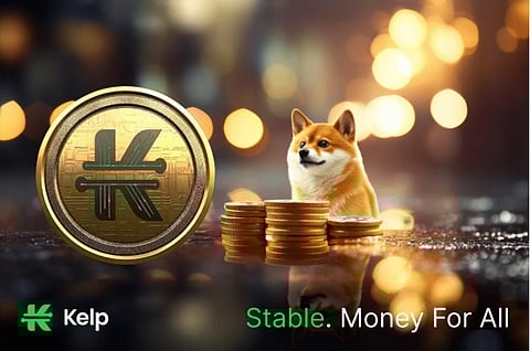 Beyond DOGE: Unveiling the Advanced Tech and Community Powering KELP’s Rise