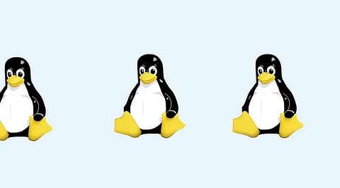 Mastering Linux VPS: A Guide to Making the Right Choice