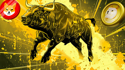 Dogecoin (DOGE) and Shiba Inu (SHIB) to Pump But Recapturing 2021 Bull Run Gains Remains Unlikely, Here’s the New Coin Analysts Are Betting on in 2024