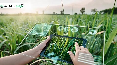 UAE Launches AI Ecosystem in Abu Dhabi to Boost Global Agriculture
