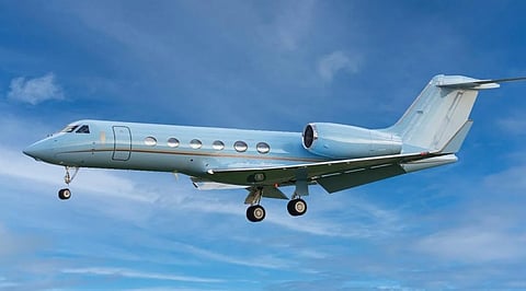 Falcon Luxe