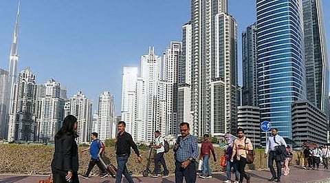 UAE Workforce