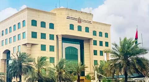 UAE University Enrollment Hits Decade High as AI Reshapes Job Skills