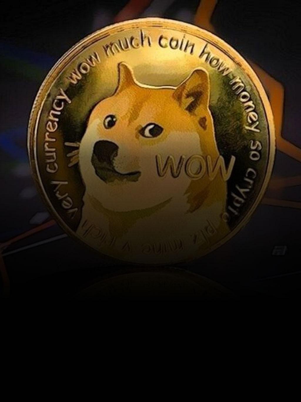 Shibetoshi nakamoto doge (84) 사진