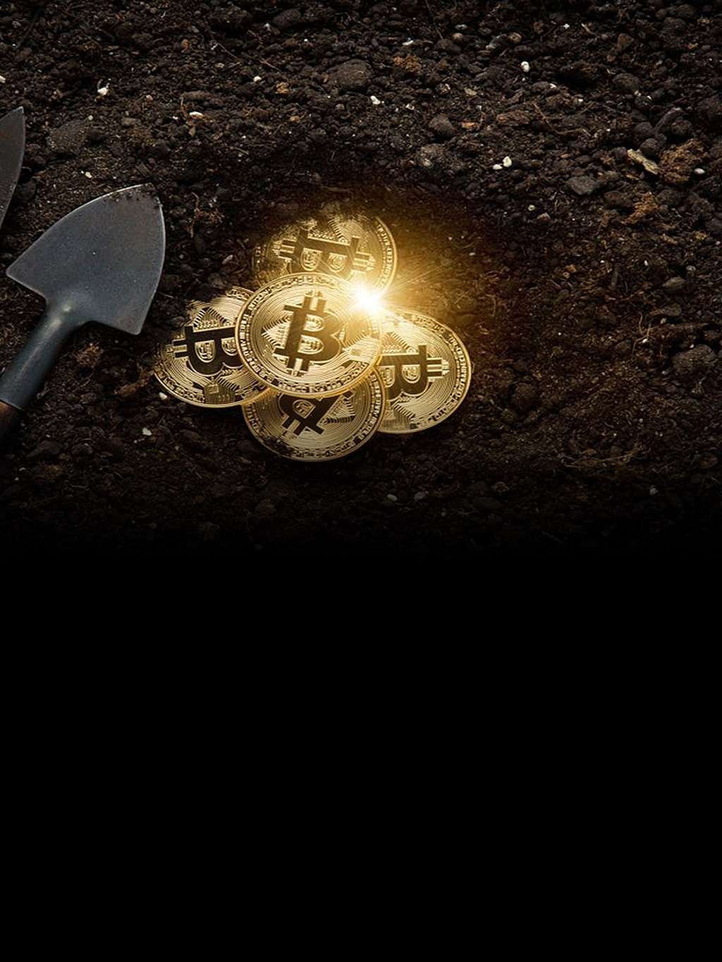 Bitcoin Roars Back; Eth and other Cryptos Marginally Down