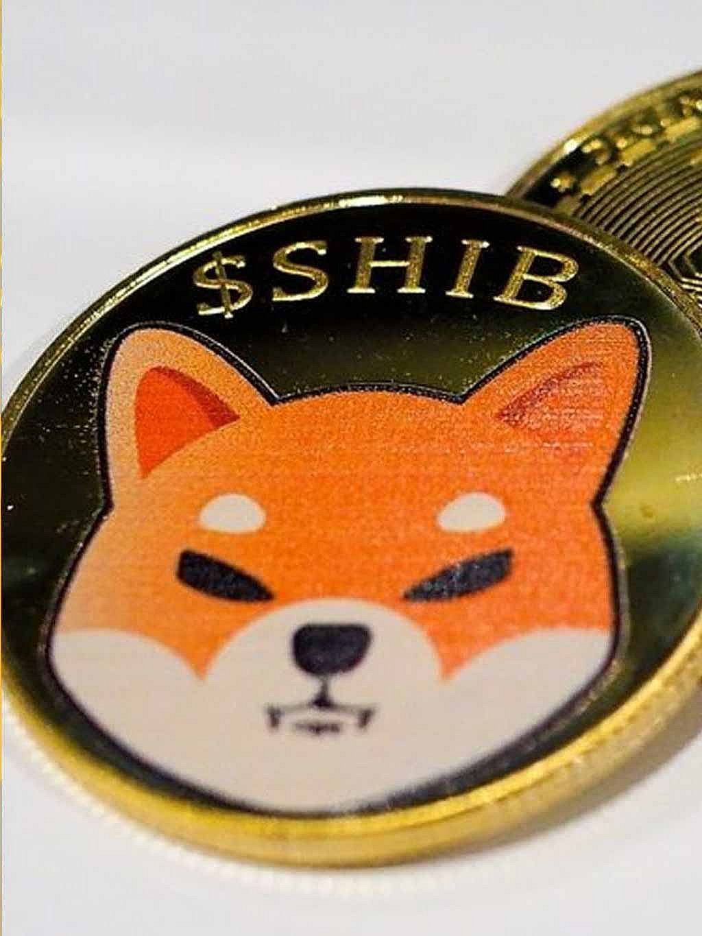 Shiba Inu Investor Exchanges Tokens, Potential Price Decline Hint