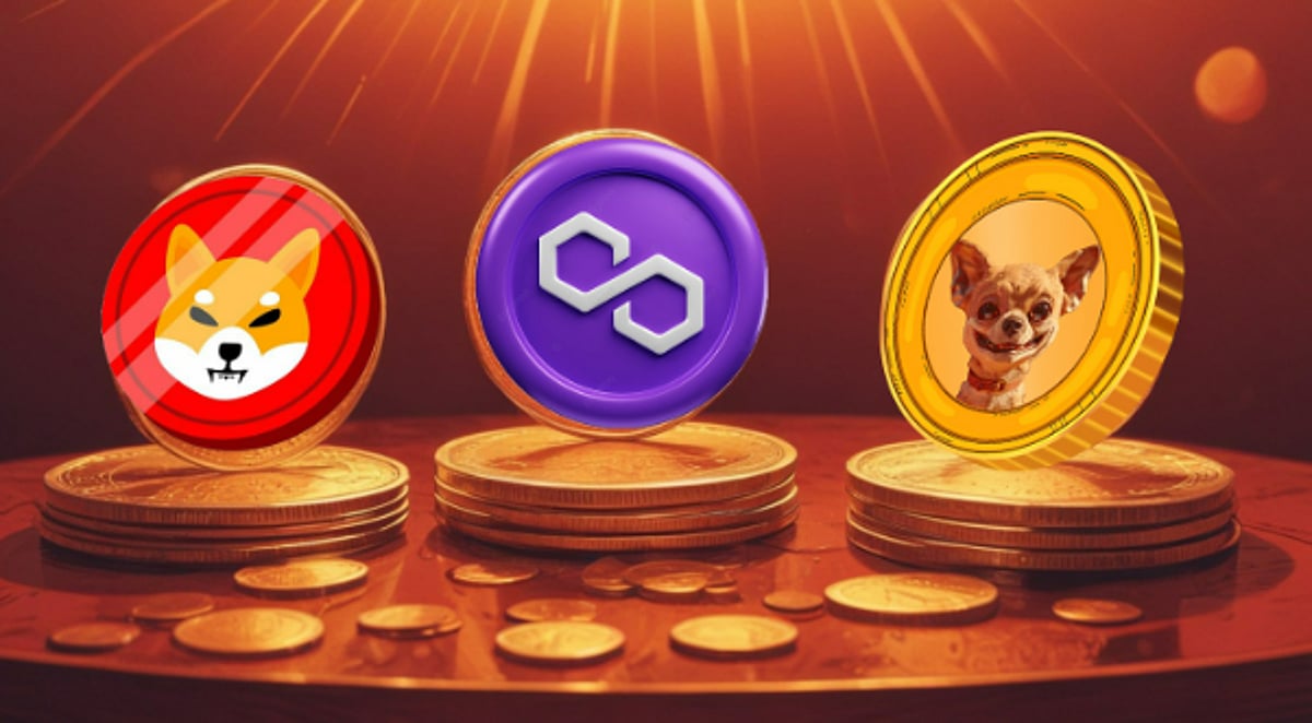 Shiba Inu (SHIB), Polygon (MATIC), and Hump Token (HUMP) Shiba Inu (SHIB), Polygon (MATIC), and Hump Token (HUMP)