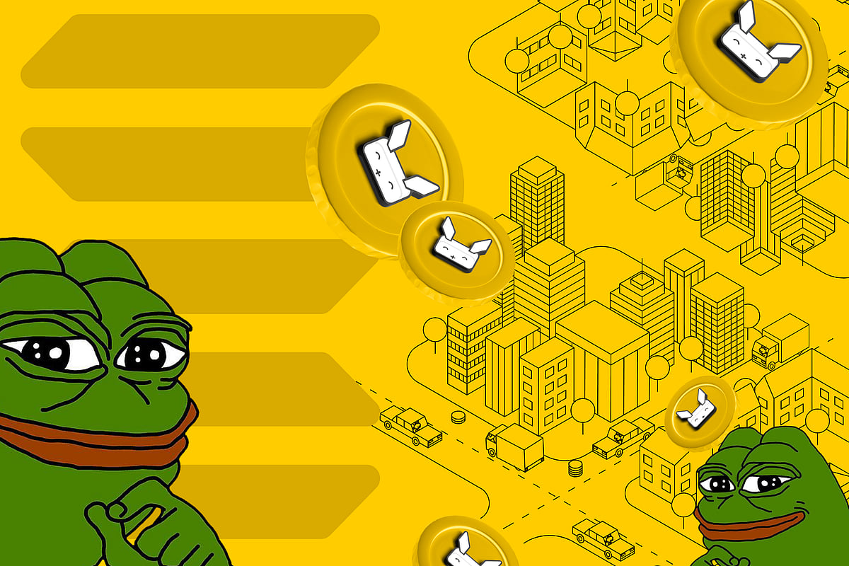 Could Raboo Be the Next 100X Meme Coin? How Does RABT Compare to PEPE ...