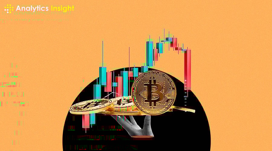 The Best Crypto Stocks of July 2024