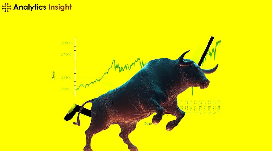 Cryptocurrency Bull Run 2024: Top Coins to Explode
