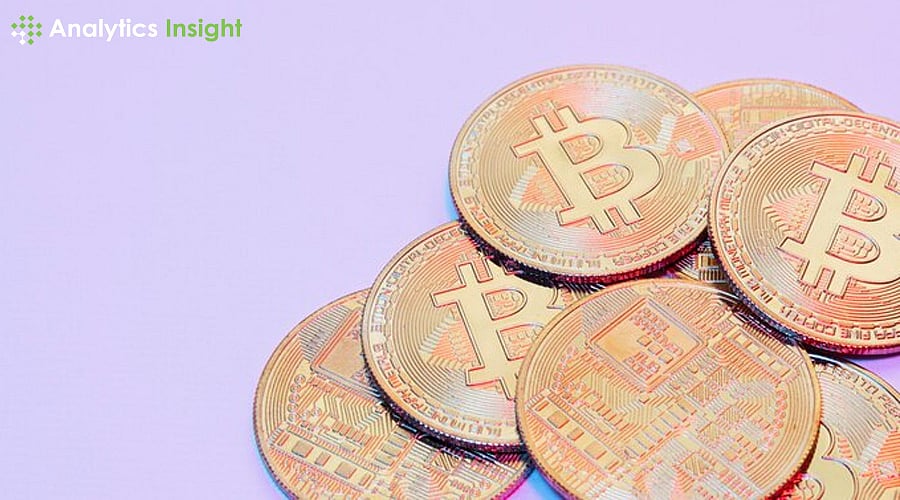 Who Owns Most Bitcoin in India