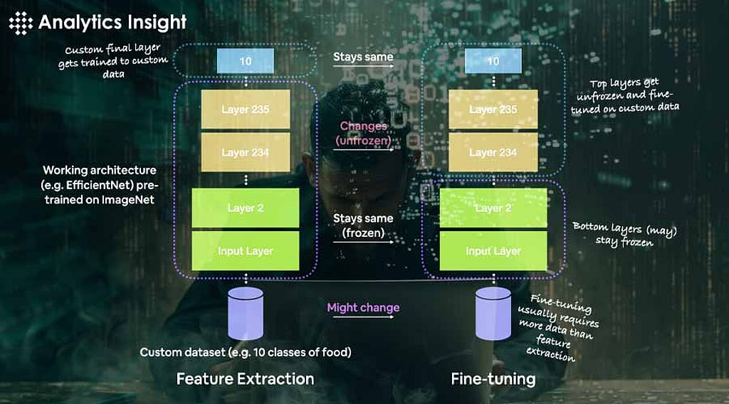 How to Fine-Tune a Pre-Trained Model in TensorFlow?
