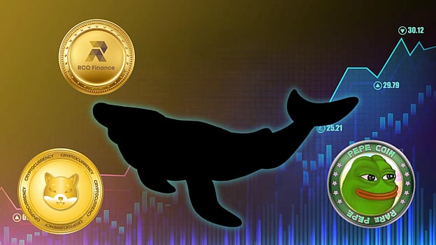 PEPE and SHIB Whales Shift their Attention to RCO Finance (RCOF) Due to  Upcoming Price Hike