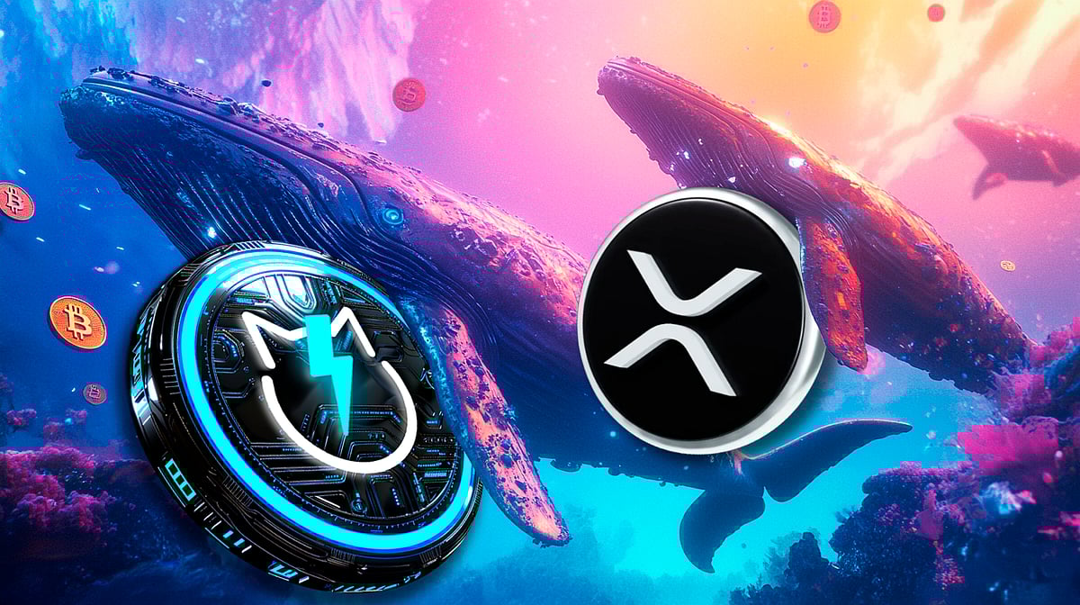 Ripple Swell Kicks Off: Experts Discuss XRP Boom As Whales Buy JetBolt