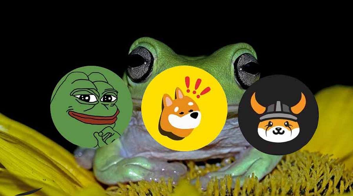 Meme Coin Culture Enters Higher Gear - New Humorous Cryptos Taking the ...
