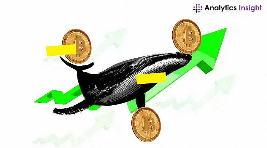 Bitcoin Whales Reach Highest Levels Since 2021 as Market Awaits Potential  Rally