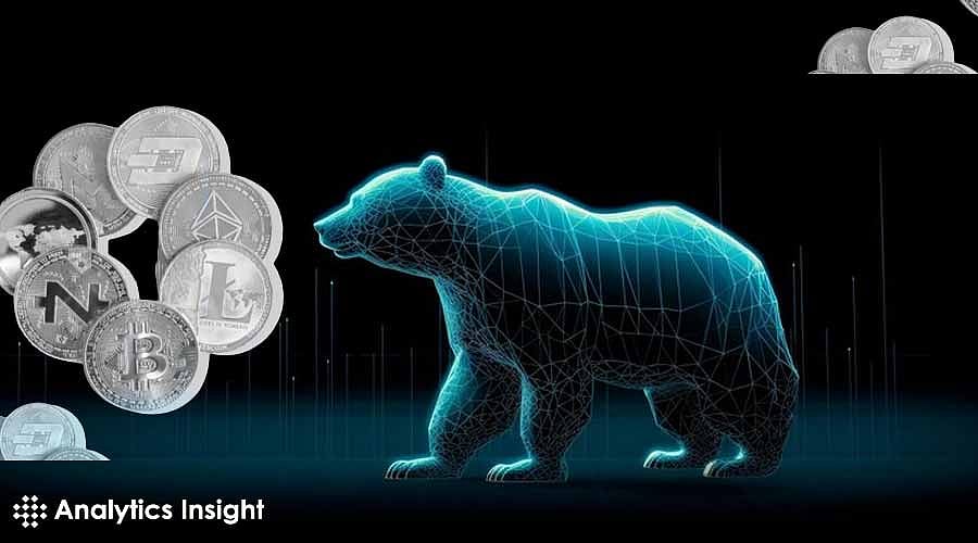 Top Cryptocurrencies to Watch During a Bear Market