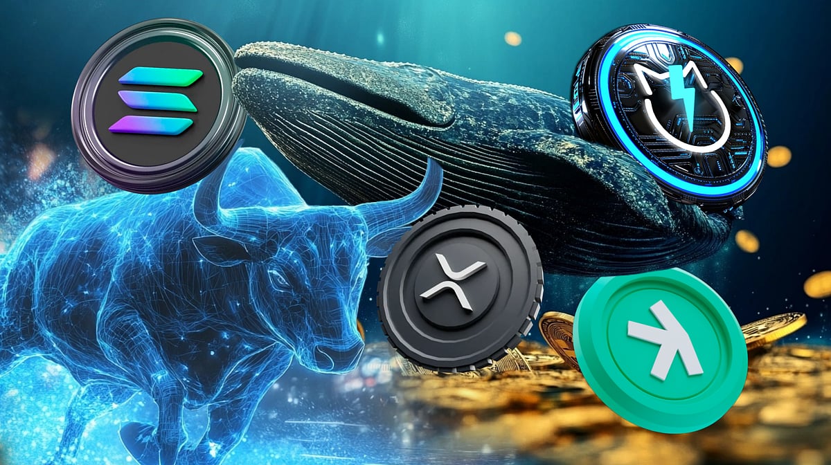 Why Whales Are Buying These Coins For the Bull Run: Solana, JetBolt, Kaspa,  and XRP