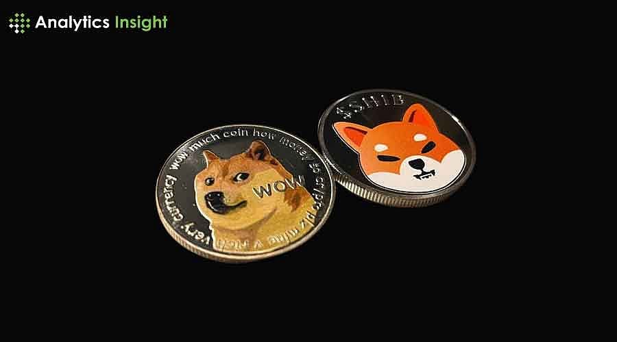 Top Meme Coins to Watch in December 2024