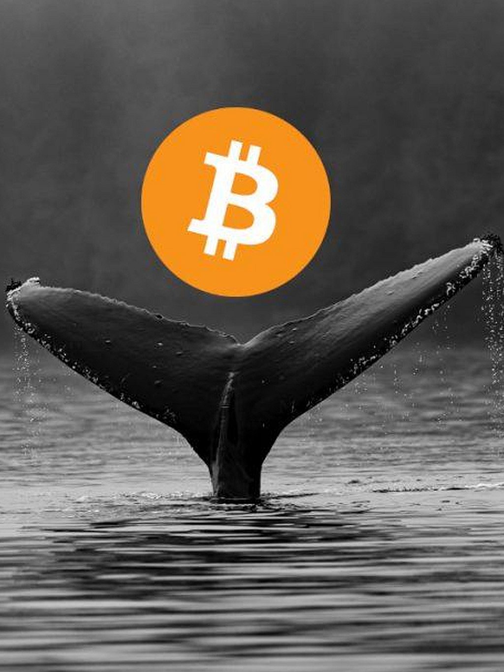 How to Handle Whale Manipulation in Crypto Trading