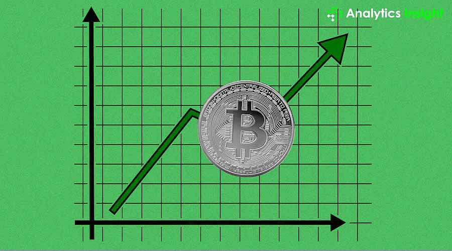 Bitcoin 2025: Will the Bull Run Continue or Will Bears Take Over?