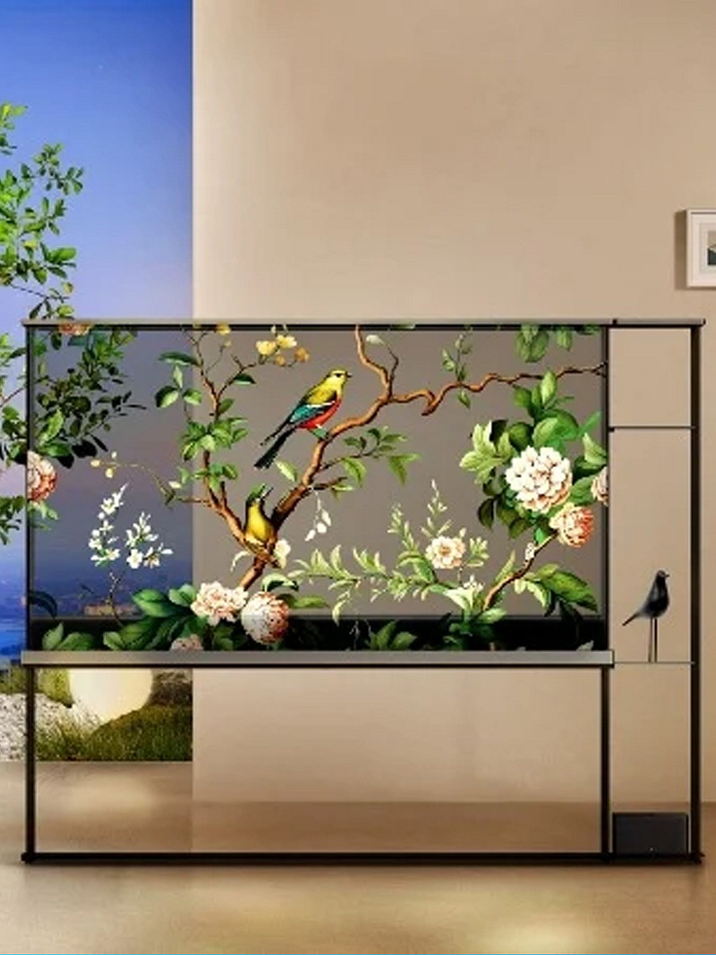 Transparent TVs: Innovation or Luxurious Gimmick?