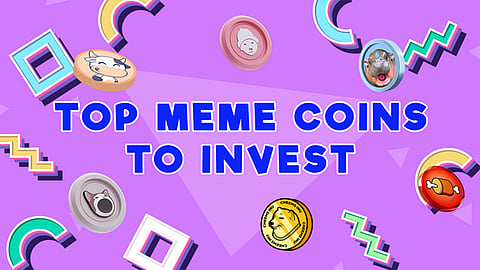 5 Best Meme Coin Presales to Buy in January 2025: Discover the Top ...