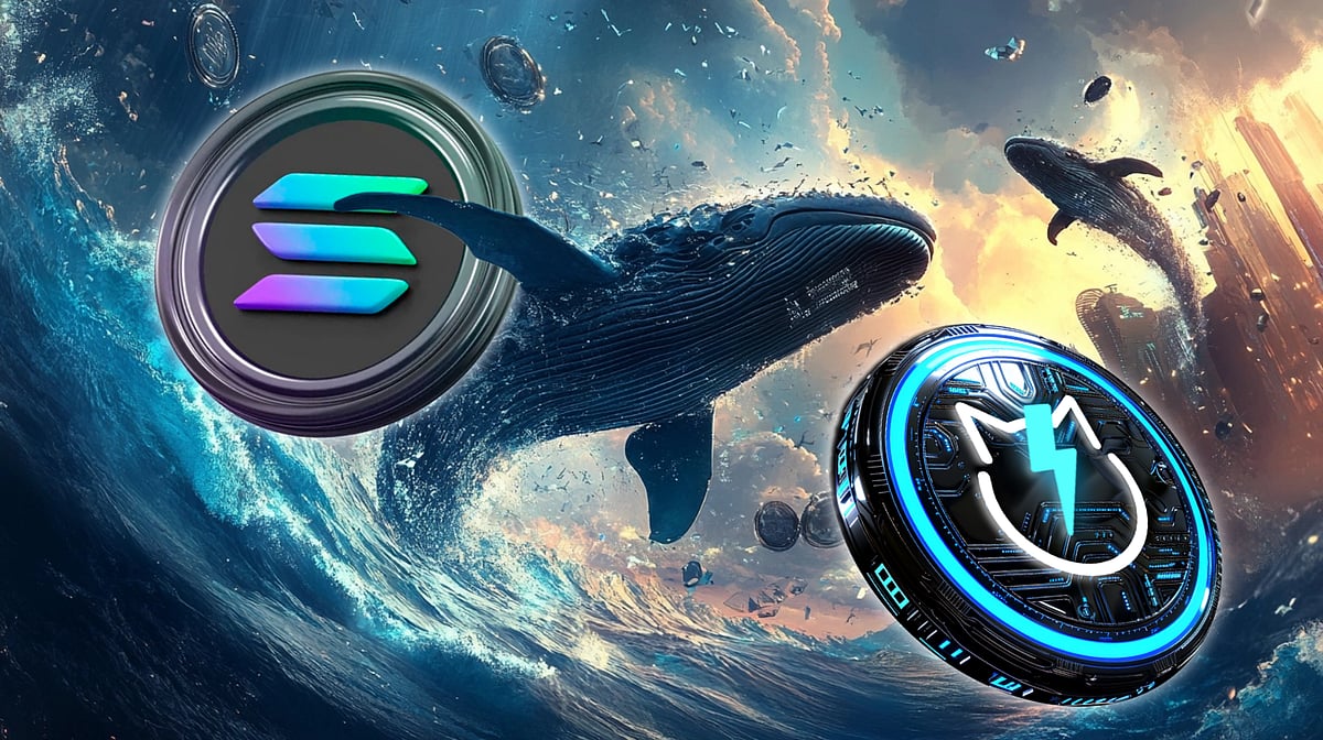 Is Solana About to Blow Up? On-Chain SOL Activity Swells as Crypto Whales  Swarm to JetBolt