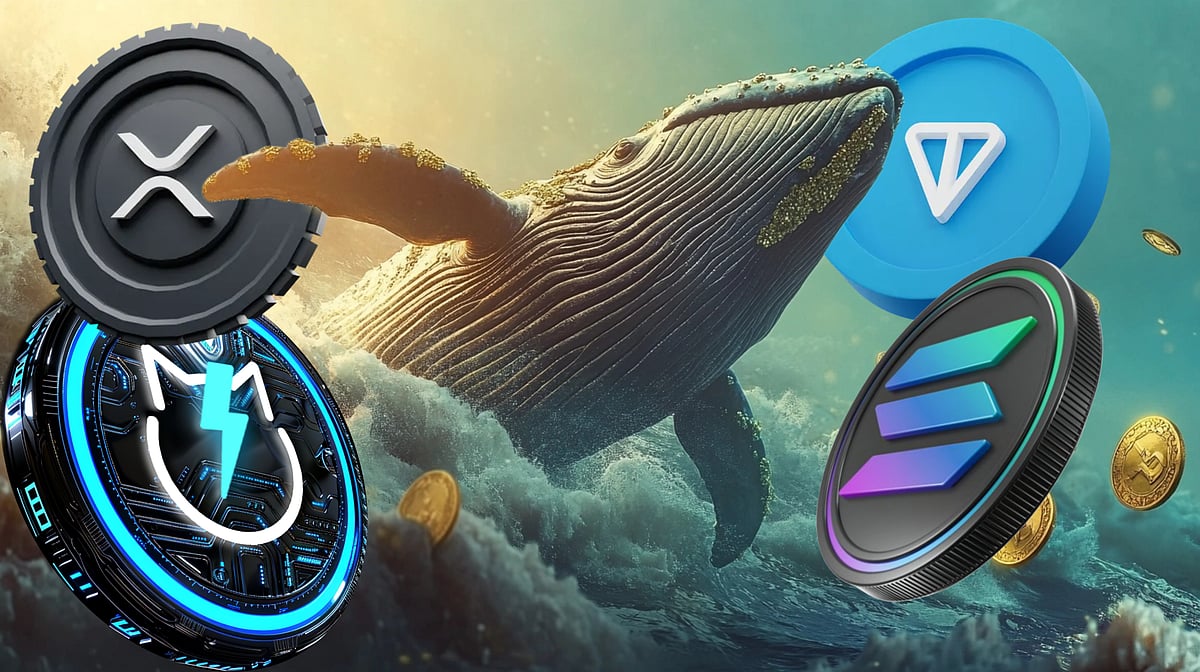 Could These 4 Cryptos Be The Next Big Whale Moves? Toncoin, XRP, JetBolt,  And Solana