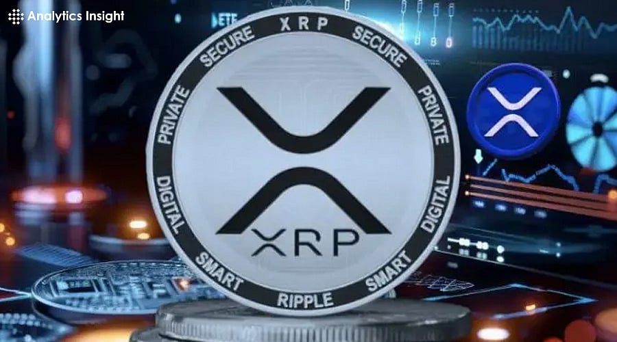 Should You Invest in XRP in 2025? A Risk Analysis