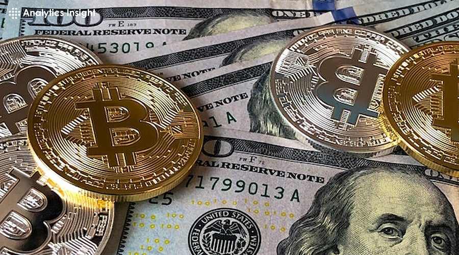 Most Popular Crypto Social Media Trends to Follow