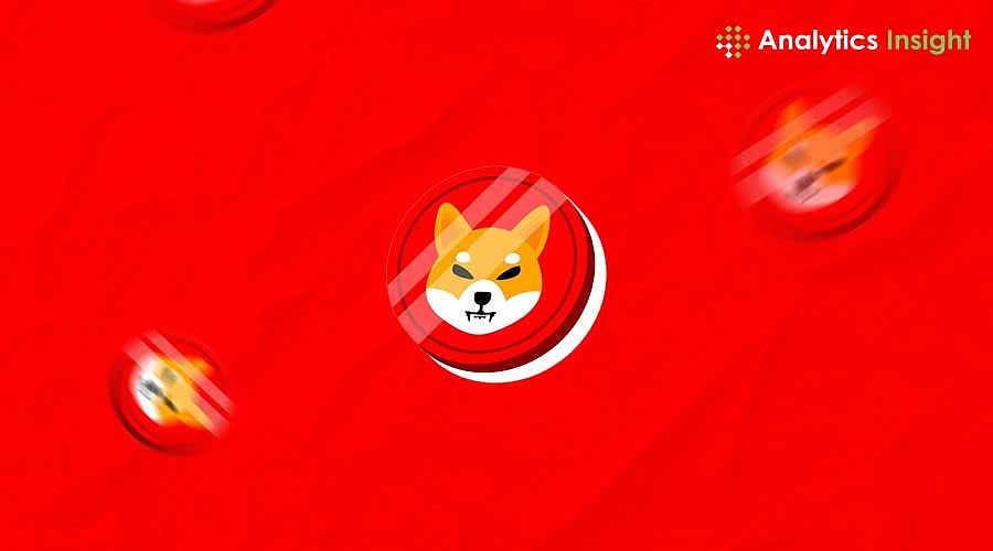 Shiba Inu Price Prediction in 2025