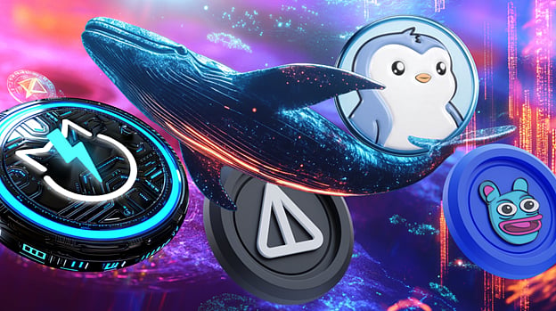 Best Meme Coins With 100x Breakout Potential: Top Memes Whales Are ...