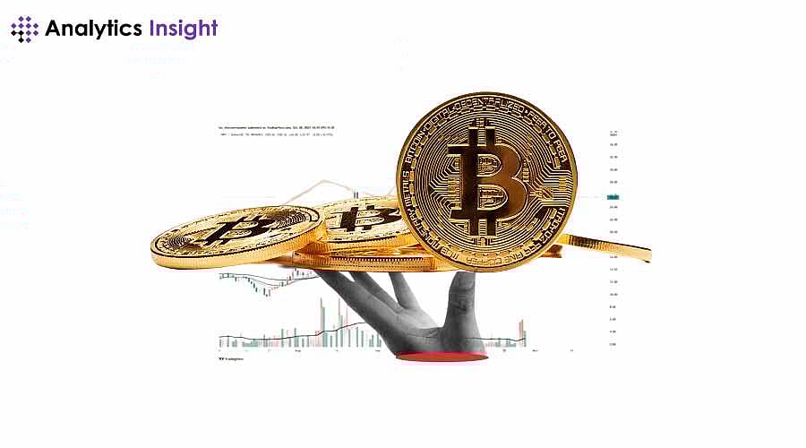 Bitcoin Rose in 2008, Will It Fall in the 2025 Crash?