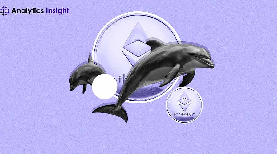 Ethereum Whale Activity Soars - Is Now the Best Time to Buy?