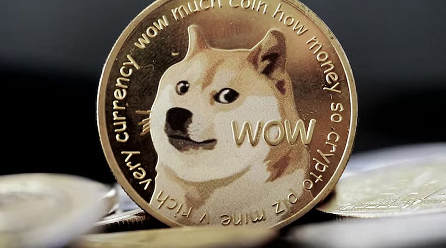 Is This New Altcoin Set To Replace Cardano and Dogecoin In The Crypto Top  10 In 2025?
